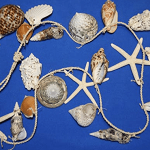 Seashell Garlands