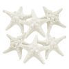 US Shell 6 Piece Assorted White Armoured Starfish 0 100x100