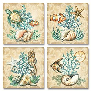 Sea Life Still Life Collages Shells Seahorses Reef Fish Starfishes Coral 0 300x300