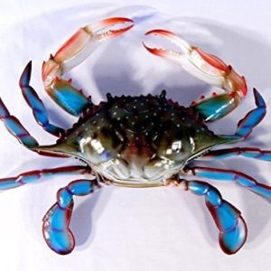 Maryland-Blue-Crab-Beach-Tiki-Bar-Wall-Decor-6-by-Charlotte-International-0-300x300 Crab Decor & Crab Decorations