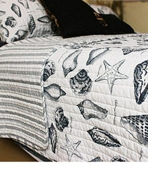 Brandream Seashells Beach Themed Quilt Set