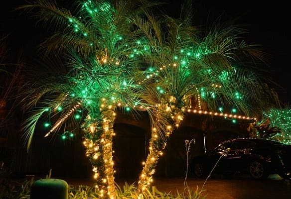 Christmas-Lighting-Bakersfield-CA-by-Keylor-Landscape-and-Christmas-Decor 34 Beach Christmas Decorating Ideas