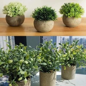 Artificial Potted Plants & Faux Potted Plants