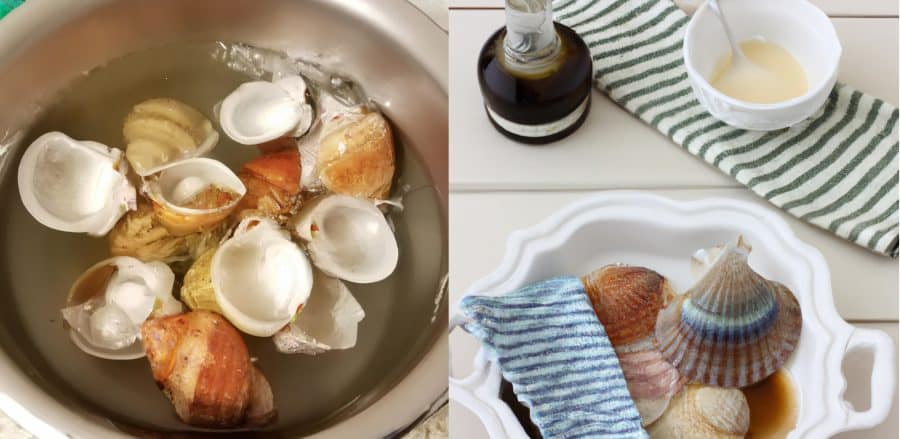 process-of-cleaning-seashells-scaled How To Clean Seashells With Vinegar? Is it Safe?